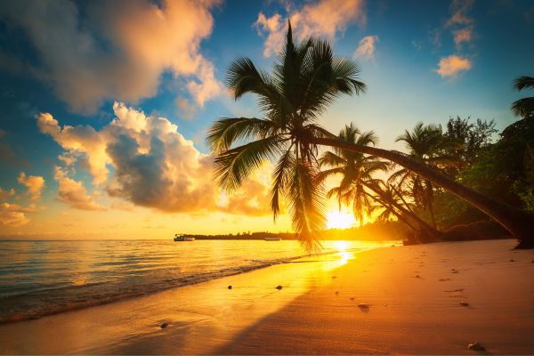 Discover Scuba Diving Punta Cana