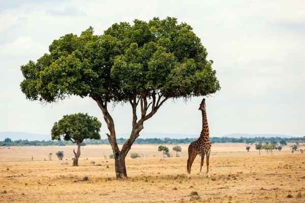 national parks to visit