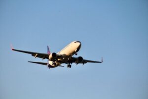 Flying With Pets: Everything You Need to Know Before You Book